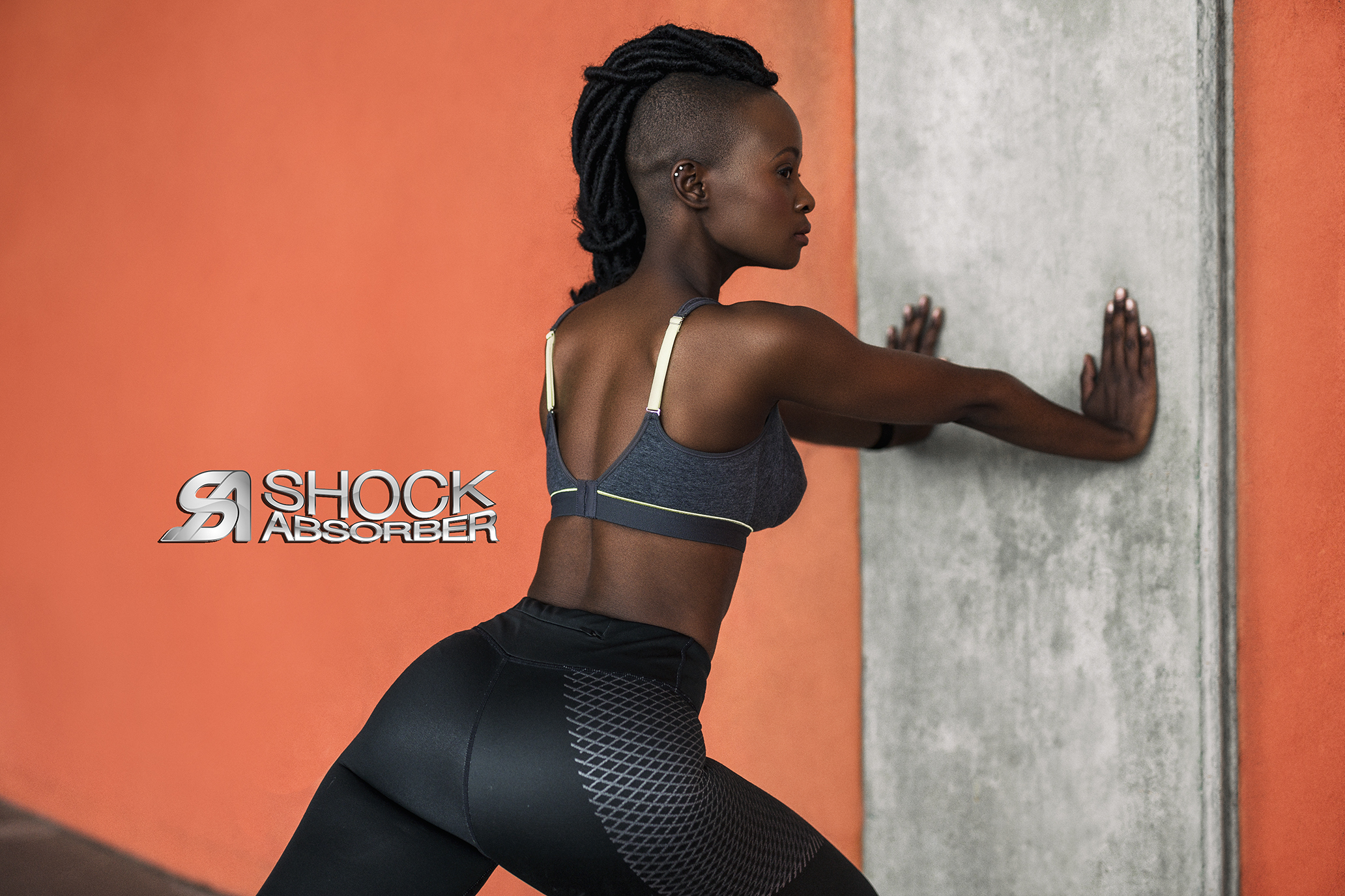 Shock Absorber